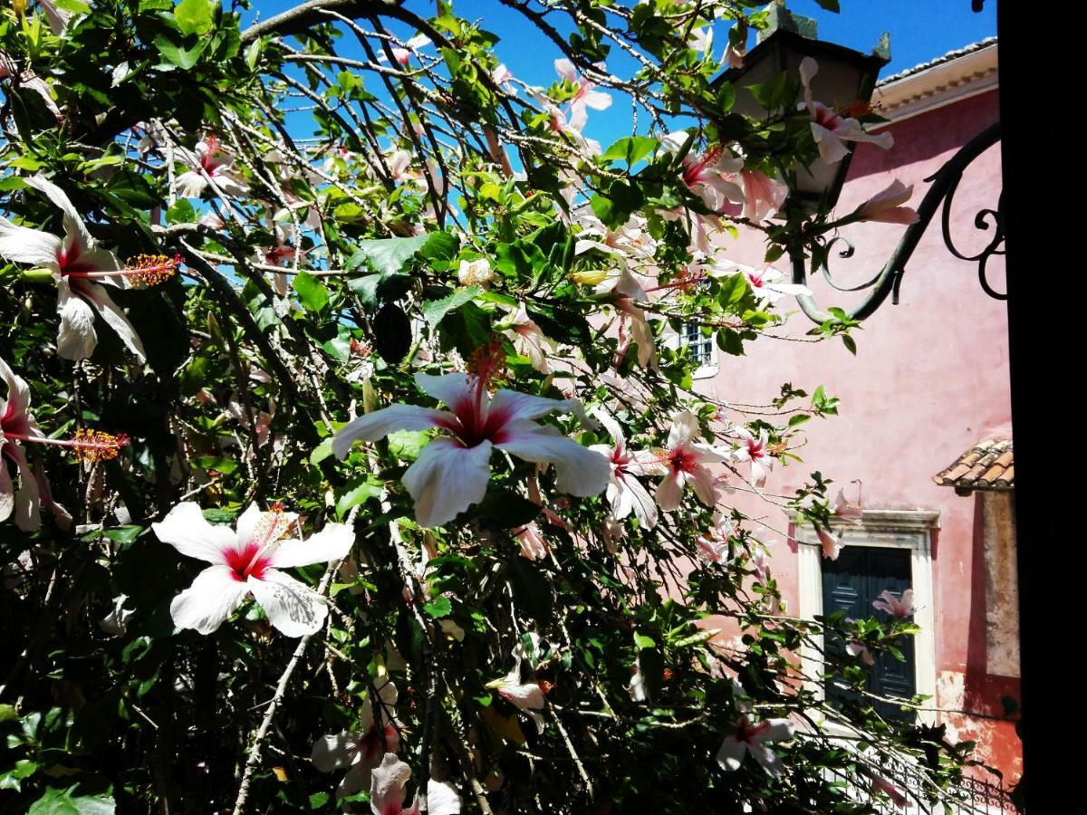 Venetian Well Cozy Apartment Corfu Old Town 外观 照片